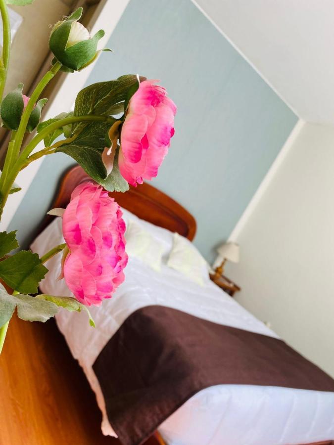 Helena De Santa Maria Otel Arequipa Dış mekan fotoğraf